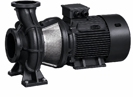 Моноблочный насос Wellmix NBW H 125-100-260-110/2-380-G-BQQE